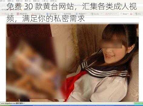 免费 30 款黄台网站,汇集各类成人视频,满足你的私密需求