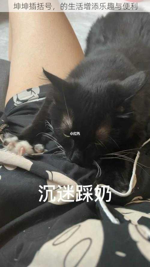 坤坤插括号,的生活增添乐趣与便利