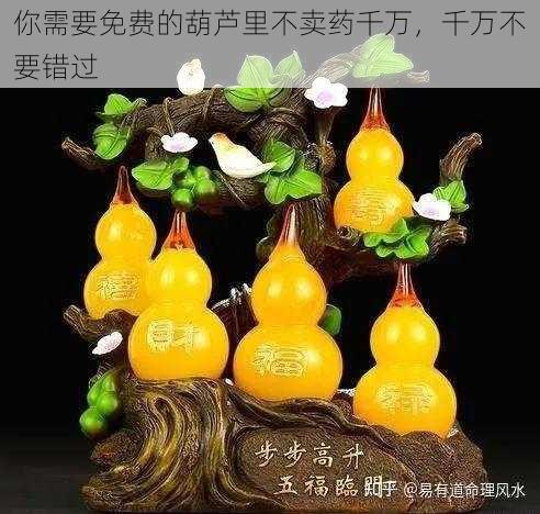 你需要免费的葫芦里不卖药千万,千万不要错过