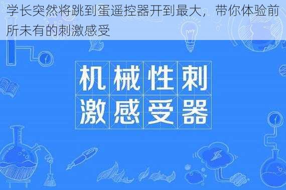 学长突然将跳到蛋遥控器开到最大,带你体验前所未有的刺激感受