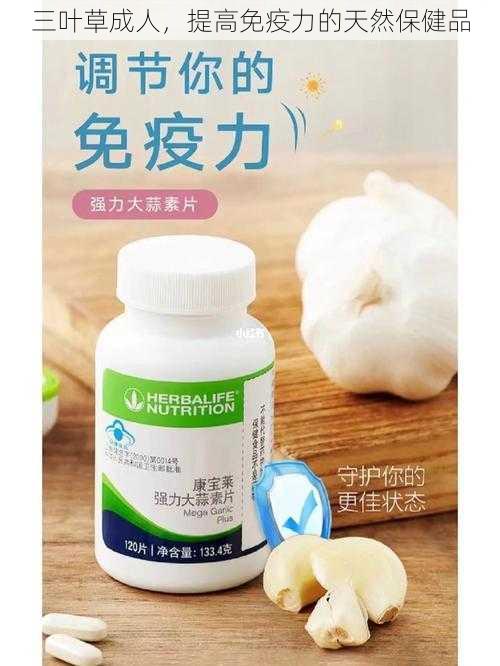 三叶草成人,提高免疫力的天然保健品