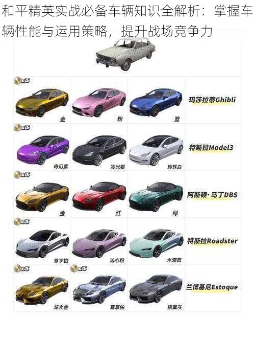 和平精英实战必备车辆知识全解析：掌握车辆性能与运用策略，提升战场竞争力