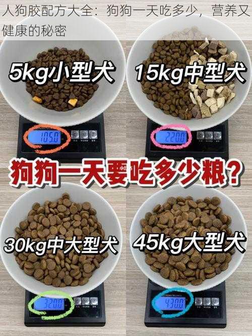 人狗胶配方大全:狗狗一天吃多少,营养又健康的秘密