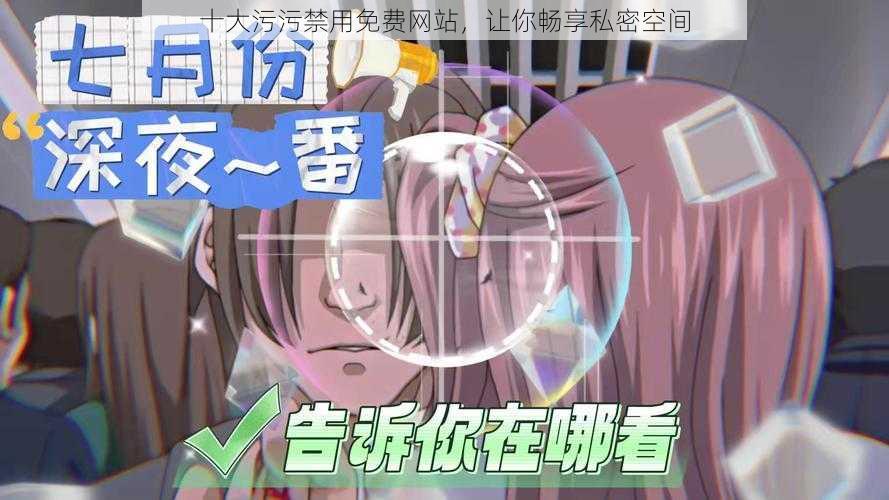 十大污污禁用免费网站,让你畅享私密空间