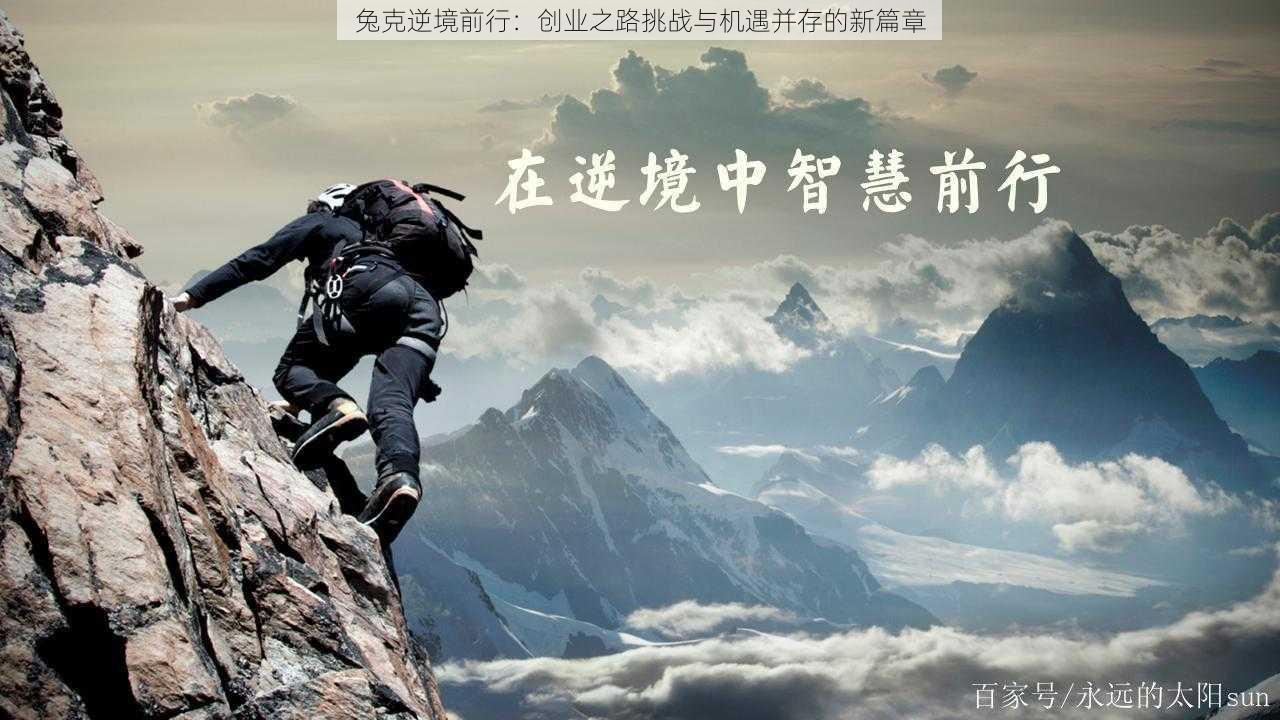 兔克逆境前行:创业之路挑战与机遇并存的新篇章