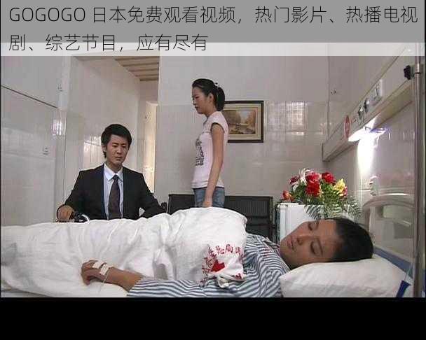 GOGOGO 日本免费观看视频,热门影片、热播电视剧、综艺节目,应有尽有