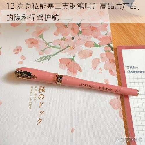 12 岁隐私能塞三支钢笔吗?高品质产品,的隐私保驾护航