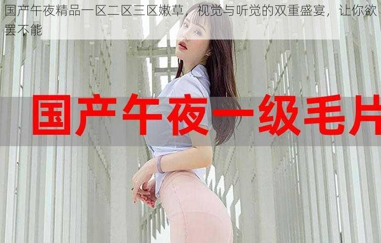 国产午夜精品一区二区三区嫩草,视觉与听觉的双重盛宴,让你欲罢不能