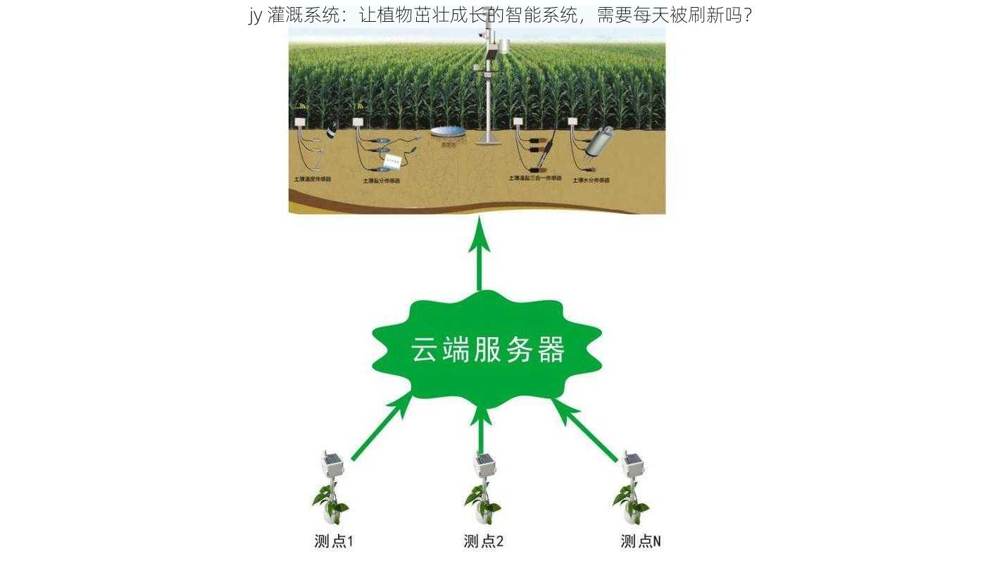 jy 灌溉系统:让植物茁壮成长的智能系统,需要每天被刷新吗?