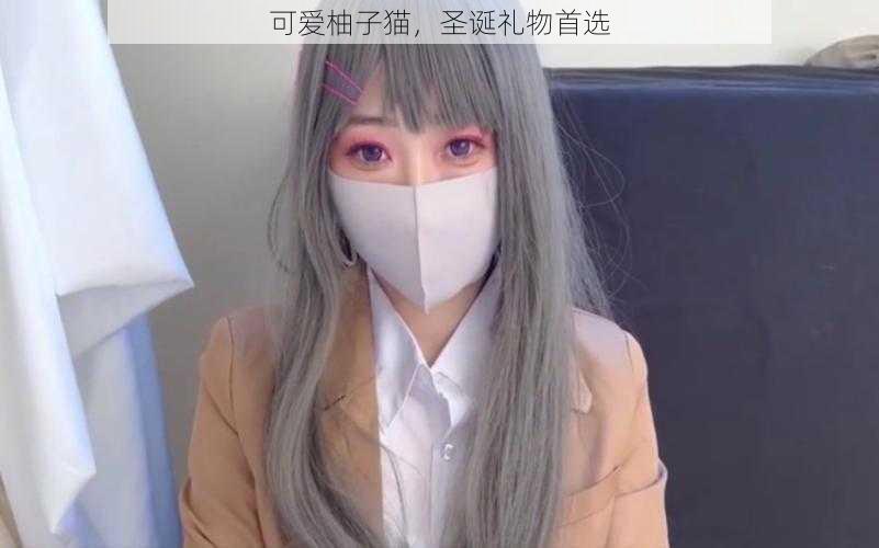 可爱柚子猫,圣诞礼物首选