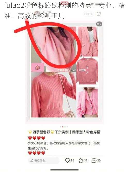 fulao2粉色标路线检测的特点:专业、精准、高效的检测工具