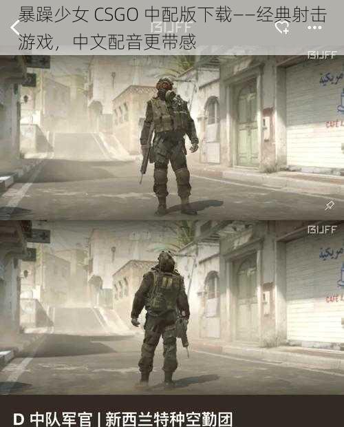 暴躁少女 CSGO 中配版下载——经典射击游戏,中文配音更带感