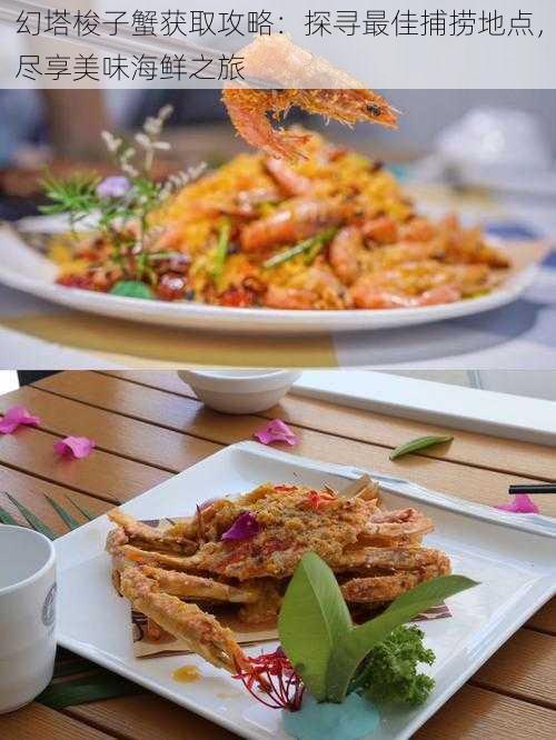 幻塔梭子蟹获取攻略:探寻最佳捕捞地点,尽享美味海鲜之旅