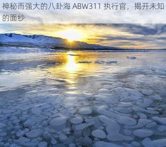 神秘而强大的八卦海 ABW311 执行官,揭开未知的面纱