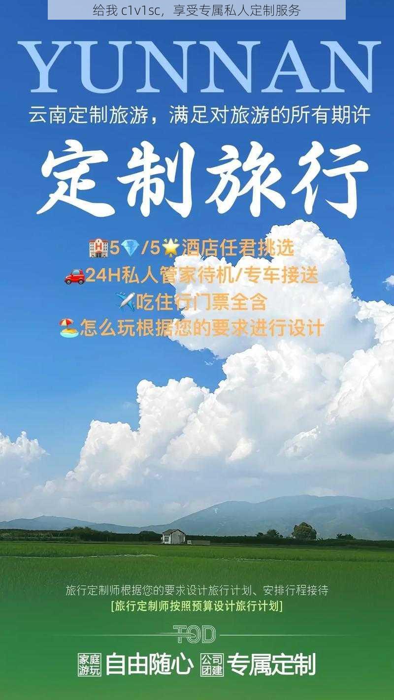 给我 c1v1sc,享受专属私人定制服务