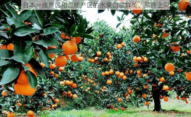 日本一线产区和二线产区的水果口感鲜美、品质上乘