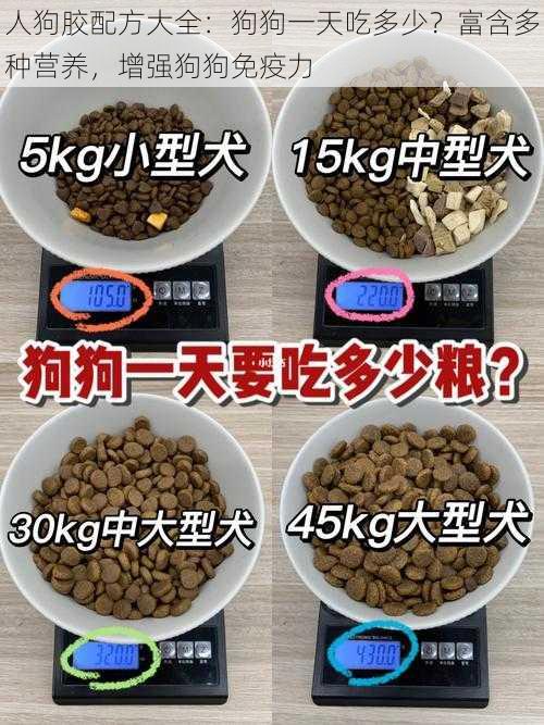 人狗胶配方大全:狗狗一天吃多少?富含多种营养,增强狗狗免疫力