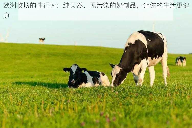 欧洲牧场的性行为:纯天然、无污染的奶制品,让你的生活更健康