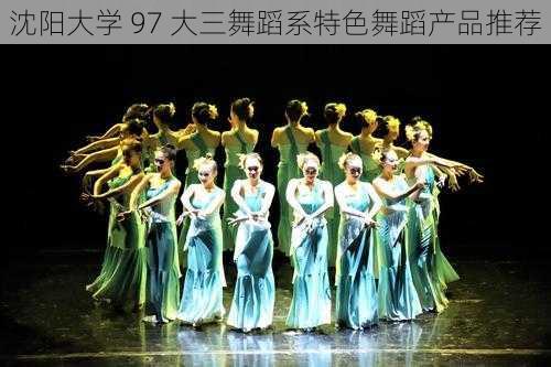 沈阳大学 97 大三舞蹈系特色舞蹈产品推荐