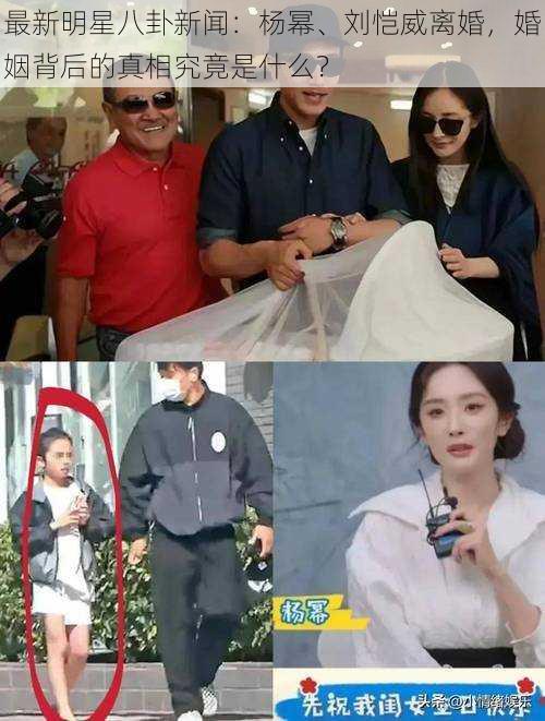 最新明星八卦新闻:杨幂、刘恺威离婚,婚姻背后的真相究竟是什么?