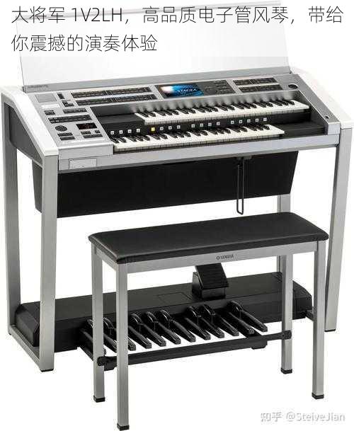 大将军 1V2LH,高品质电子管风琴,带给你震撼的演奏体验