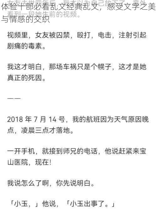 体验十部必看乱文经典乱文,感受文字之美与情感的交织