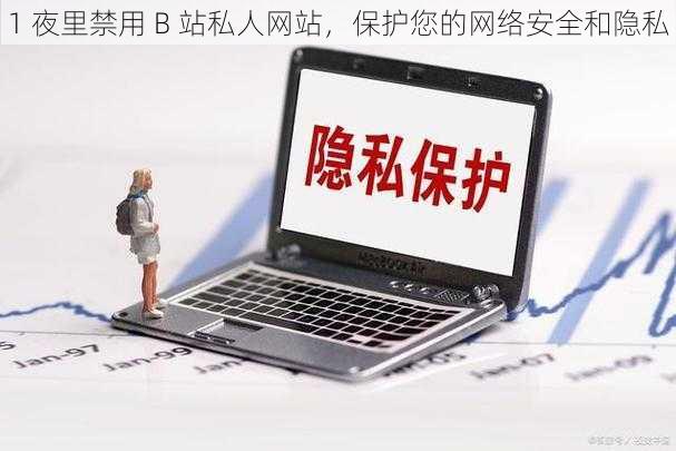 1 夜里禁用 B 站私人网站,保护您的网络安全和隐私