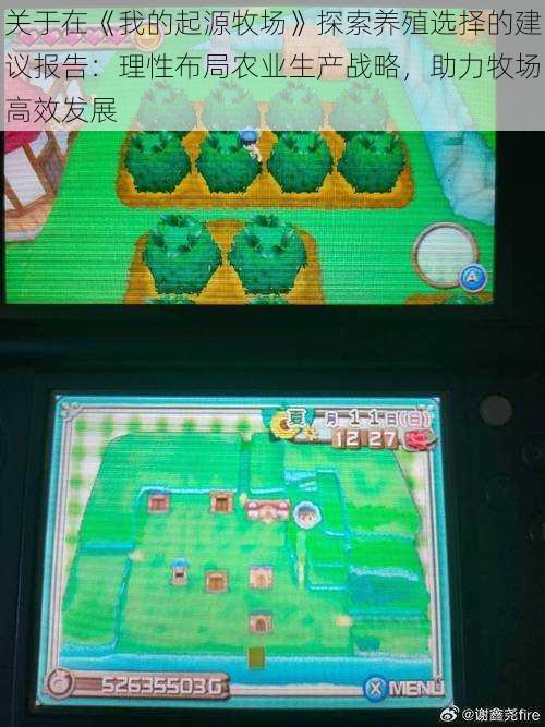 关于在《我的起源牧场》探索养殖选择的建议报告:理性布局农业生产战略,助力牧场高效发展