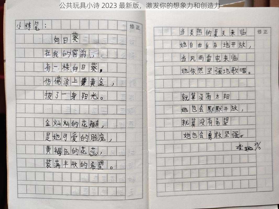 公共玩具小诗 2023 最新版,激发你的想象力和创造力