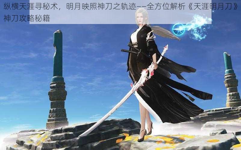 纵横天涯寻秘术,明月映照神刀之轨迹——全方位解析《天涯明月刀》神刀攻略秘籍