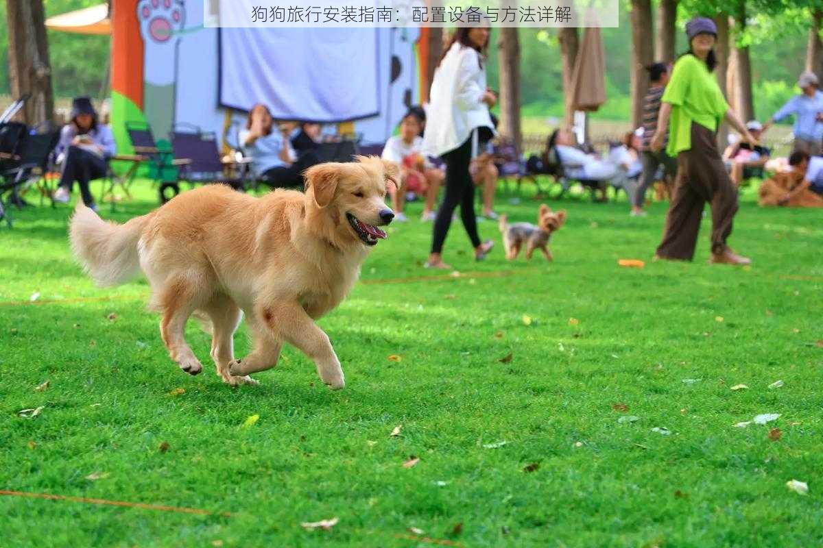 狗狗旅行安装指南:配置设备与方法详解