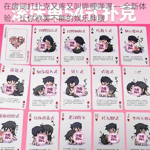 在房间打扑克又疼又叫哔哩哔哩——全新体验,让你欲罢不能的娱乐神器