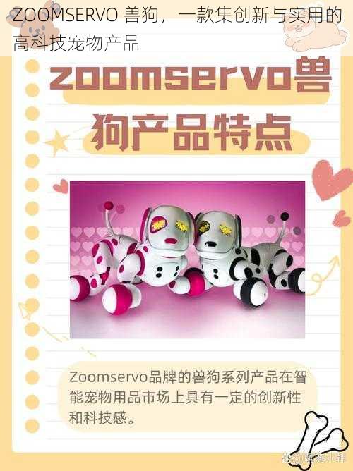 ZOOMSERVO 兽狗,一款集创新与实用的高科技宠物产品