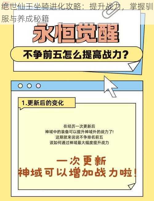 绝世仙王坐骑进化攻略:提升战力,掌握驯服与养成秘籍