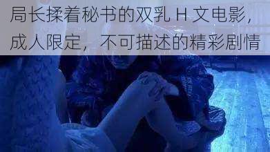 局长揉着秘书的双乳 H 文电影,成人限定,不可描述的精彩剧情