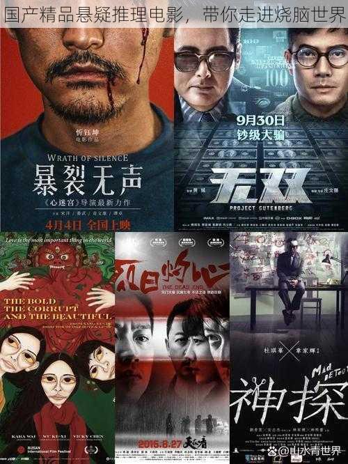 国产精品悬疑推理电影,带你走进烧脑世界