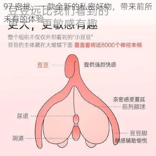 97 密挑,一款全新的私密好物,带来前所未有的体验