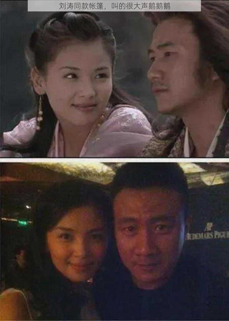 刘涛同款帐篷,叫的很大声鹅鹅鹅