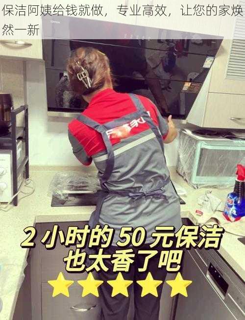 保洁阿姨给钱就做,专业高效,让您的家焕然一新