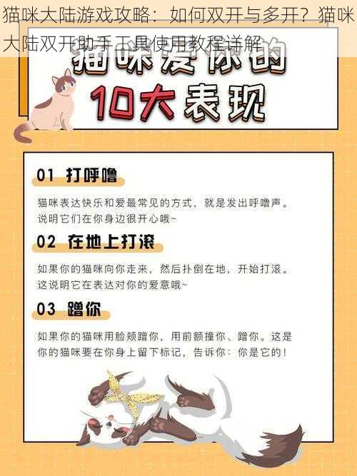 猫咪大陆游戏攻略:如何双开与多开?猫咪大陆双开助手工具使用教程详解