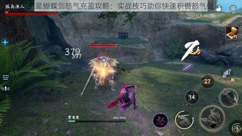 流星蝴蝶剑怒气充盈攻略:实战技巧助你快速积攒怒气值