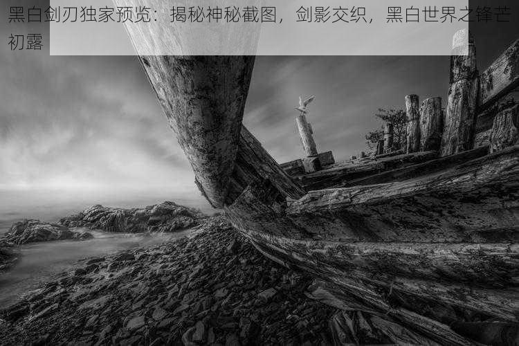 黑白剑刃独家预览:揭秘神秘截图,剑影交织,黑白世界之锋芒初露