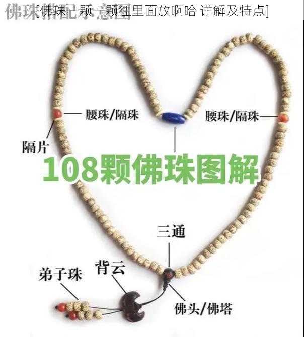 [佛珠一颗一颗往里面放啊哈 详解及特点]