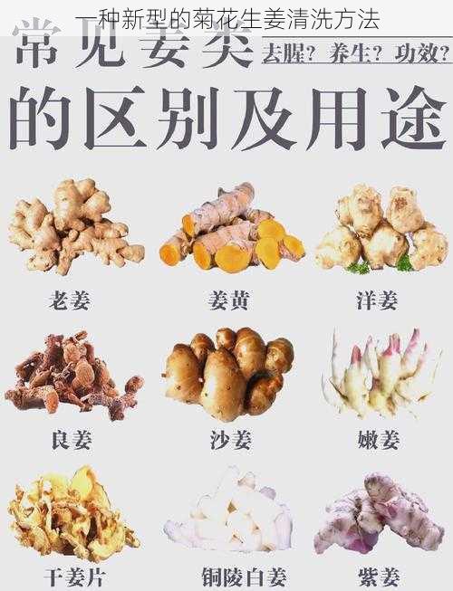 一种新型的菊花生姜清洗方法