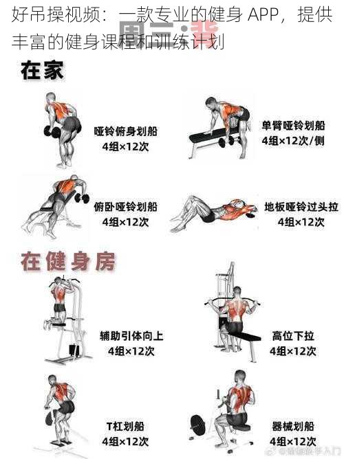 好吊操视频:一款专业的健身 APP,提供丰富的健身课程和训练计划