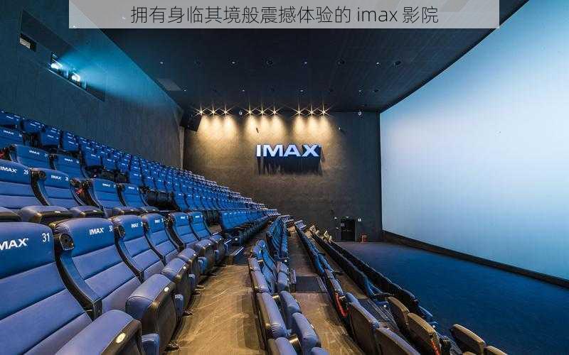 拥有身临其境般震撼体验的 imax 影院