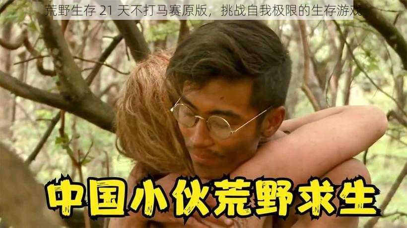 荒野生存 21 天不打马赛原版,挑战自我极限的生存游戏