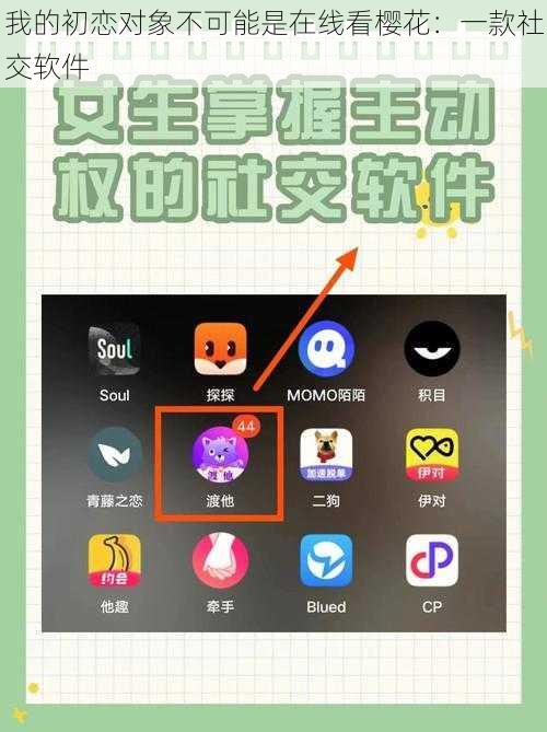 我的初恋对象不可能是在线看樱花:一款社交软件