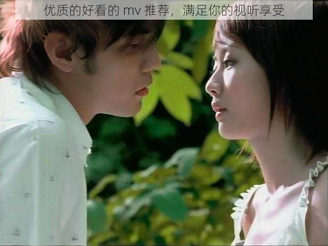 优质的好看的 mv 推荐,满足你的视听享受