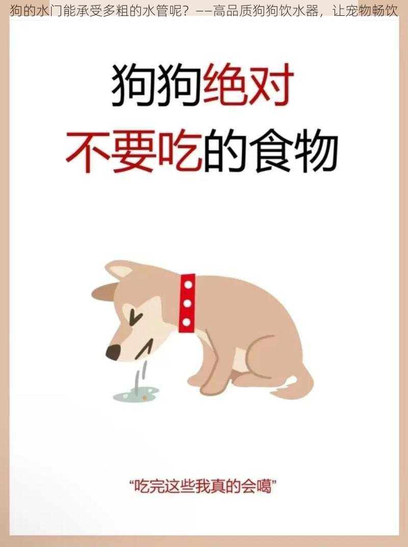 狗的水门能承受多粗的水管呢?——高品质狗狗饮水器,让宠物畅饮